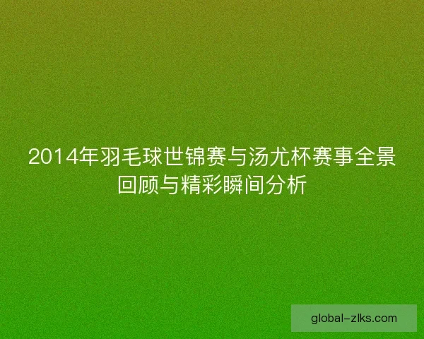 2014年羽毛球世锦赛与汤尤杯赛事全景回顾与精彩瞬间分析