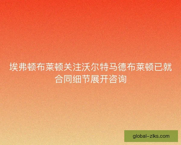 埃弗顿布莱顿关注沃尔特马德布莱顿已就合同细节展开咨询
